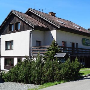 Hotel Pension Arnika Desztne w Górach Orlickich Exterior photo