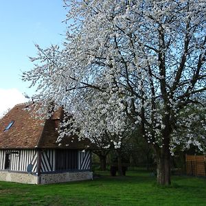 Willa Gite Falafa Normand Pont-Évêque Exterior photo