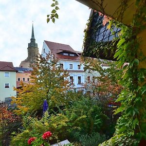 Haus Buchheim - Pension Am Schloss Budziszyn Exterior photo