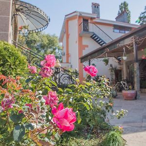 Guest House Montreal Odessa Exterior photo