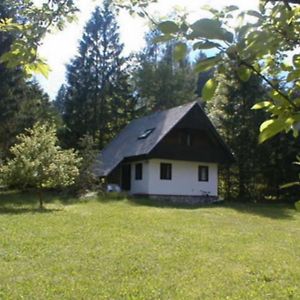 Hotel Apartmaji In Sobe Bohinjsko Jezero Ukanc Exterior photo