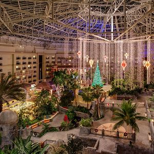 Gaylord Palms Resort & Convention Center Celebration Exterior photo