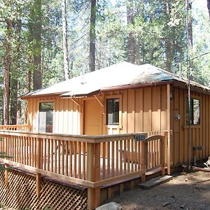 Willa 9S Pine Cabin South Wawona Exterior photo