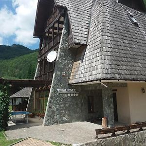 Hotel Vila Ursul Ciungetu Exterior photo