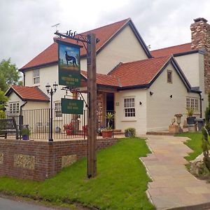 Bed and Breakfast Greyhound Hever Edenbridge Exterior photo