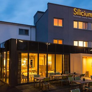 Hotel Silicium Höhr-Grenzhausen Exterior photo