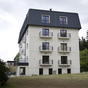 Spa Hotel Garni Lowenstein Konstantinovy Lázně Exterior photo