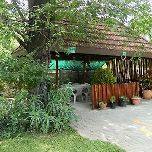 Thamalakane Guest House Maun Exterior photo