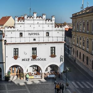 Hotel Bily Konicek Trzeboń Exterior photo