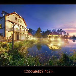 Hotel Borovansky Mlyn Borovany  Exterior photo