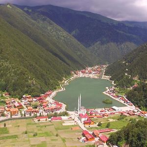 Aparthotel Zeren Apart Bungalov Uzungöl Exterior photo