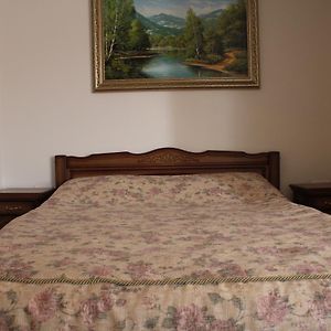 Hotel Gostyniy Dvir Synevir Synewyr Room photo