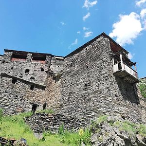 Hotel "Front Castle" Shatili Exterior photo