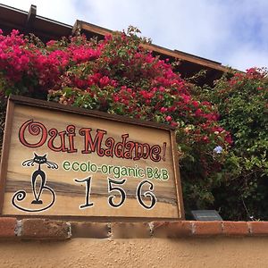 B&B Oui Madame Tijuana Exterior photo