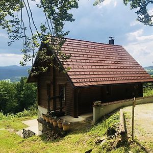 Romantic Cottage House Zuzemberk Exterior photo