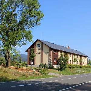 Hotel Penzion Jecminek Červená Voda Exterior photo