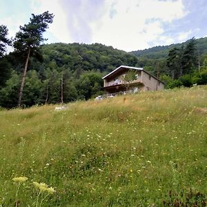 Guesthouse Gama In Khevsureti Roshka Exterior photo