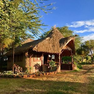 Willa Amboseli Eco Camp Exterior photo