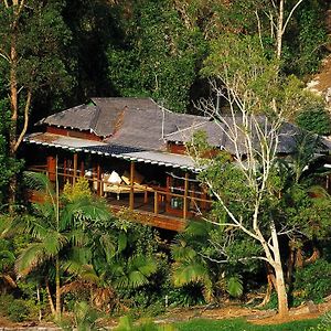 Willa Wollumbin Palms Rainforest Retreat Uki Exterior photo