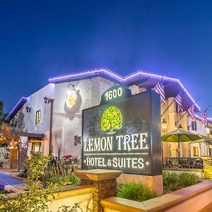 The Lemon Tree Hotel Anaheim Exterior photo