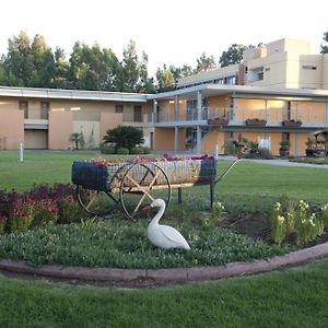 Nof Ginosar Kibbutz Hotel Tyberiada Exterior photo