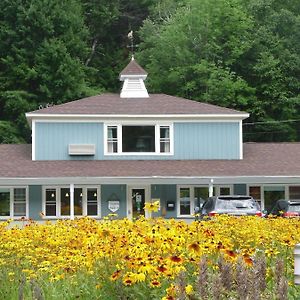 Motel The Little Lion Great Barrington Exterior photo