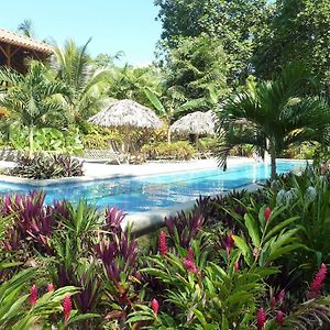 Bed and Breakfast Bluff Beach Retreat Bocas del Toro Exterior photo