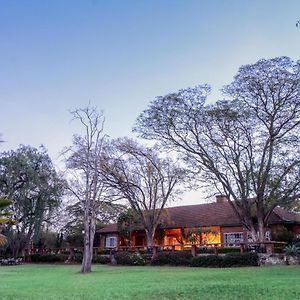 Jacaranda Lake Elementeita Lodge Gilgil Exterior photo