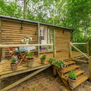 Willa Woodland Retreat Shepherd'S Hut Brundish Exterior photo