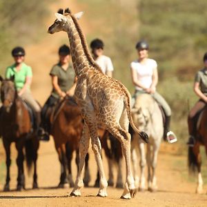 Willa Pakamisa Private Game Reserve Pongola Exterior photo