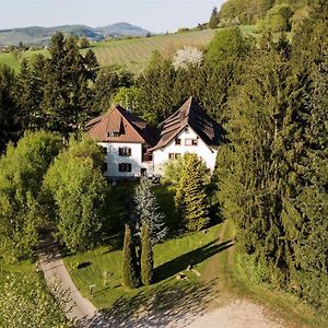 Hotel Gaestehaus Kaltenbach Staufen im Breisgau Exterior photo