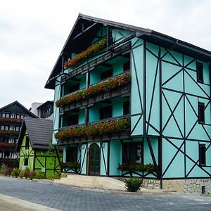 Hotel Vila Alsace Podu' Cu Lanturi Bacău Exterior photo
