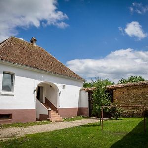 Pensjonat Casa Din Barcut Exterior photo