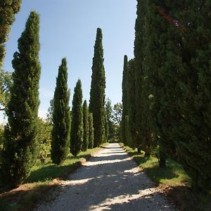 Villa Ghislanzoni Vicenza Exterior photo