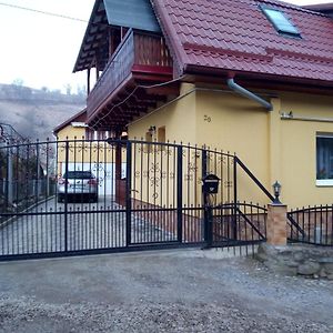 Hotel Casa Vio Sighișoara Exterior photo