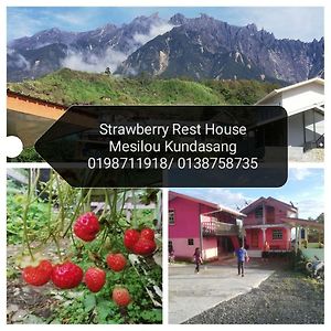 Strawberry Rest House Mesilou Kampong Kundassan Exterior photo