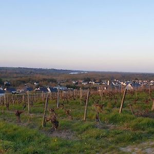 Clos Sainte Catherine Rochefort-sur-Loire Exterior photo