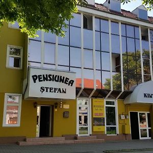 Hotel Pensiunea Stefan Bystrzyca Exterior photo