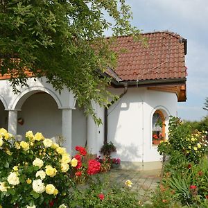 Hotel Pension Restaurant Rosenberg Jennersdorf Exterior photo