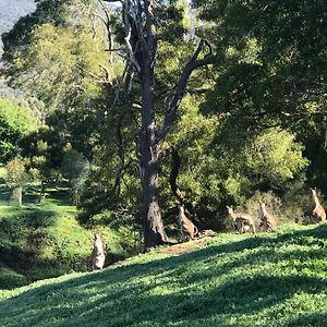 Apartament Ironstone Romantic Couples Retreat Halls Gap Exterior photo