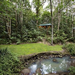 Willa Narrows Escape Rainforest Retreat Montville Exterior photo