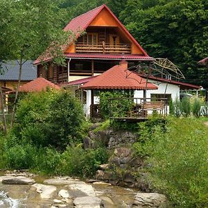 Hotel Yankovsky Dvir Polyana  Exterior photo