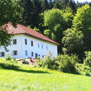 Apartament Ferienhaus Herrnbauer Zaglau Exterior photo