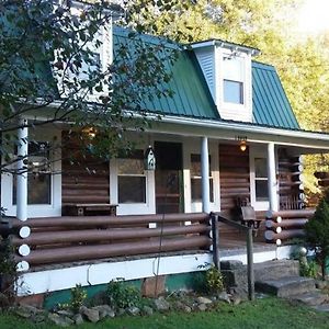 The Lodge - Chestnut Log Cabin & Game Room Genoa Exterior photo