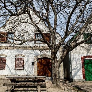 Hotel Berger Pince-Vendeghaz, Hajosi Pincek Exterior photo