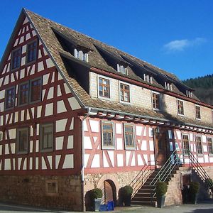 Bed and Breakfast Roter Loewe Heiligkreuzsteinach Exterior photo