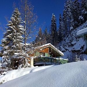 Willa Chalet Daria Prémanon Exterior photo