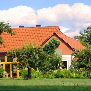 Apartament Janischs Fewo Im Spreewald, Terrasse, Grosser Garten Und Blick Inklusive Unterspreewald Exterior photo