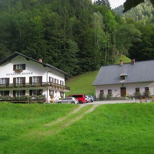 Willa Ferienhaus Mendlingbauer Lassing  Exterior photo