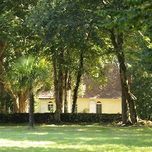 Willa La Chapelle Du Chateau Gite Pouillon Exterior photo